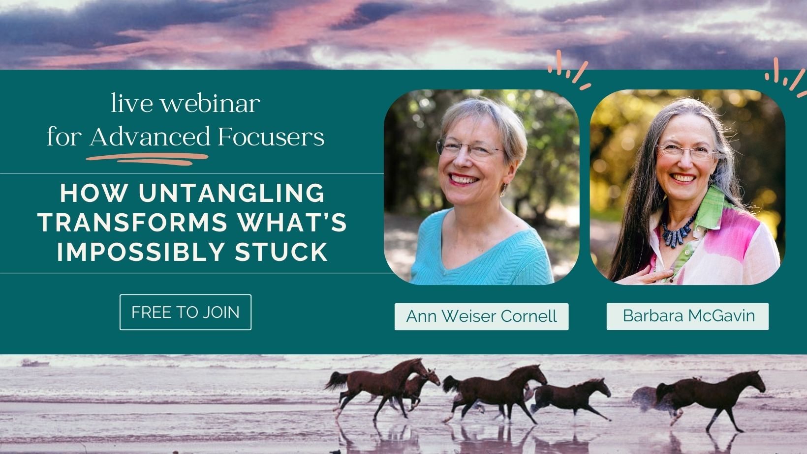 Video Series + Webinar for Advanced Focusers